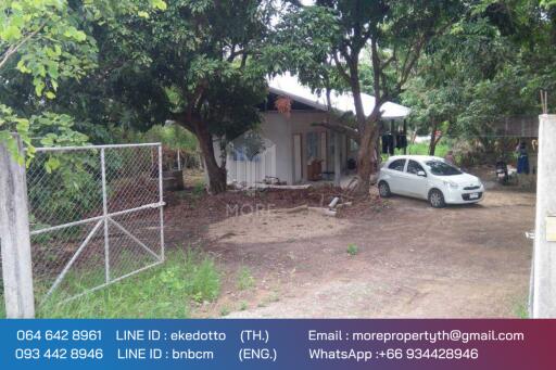 Property id 080LS Land for sale in Chiang Mai 1-2 - 12 rai, next to the main road, irrigation, Nam Phrae, Hang Dong district, Chiang Mai province.