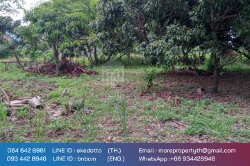 Property id 080LS Land for sale in Chiang Mai 1-2 - 12 rai, next to the main road, irrigation, Nam Phrae, Hang Dong district, Chiang Mai province.