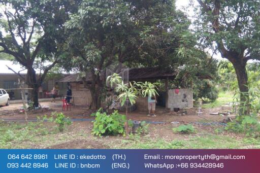 Property id 080LS Land for sale in Chiang Mai 1-2 - 12 rai, next to the main road, irrigation, Nam Phrae, Hang Dong district, Chiang Mai province.