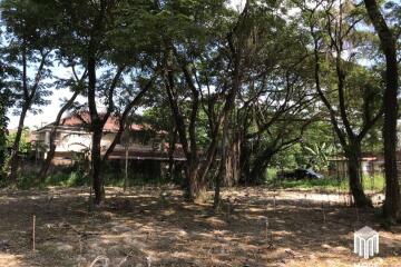 Property ID202LS Land for sale in Mae Rim 1-0-3 Rai near Nakornping Hospital.