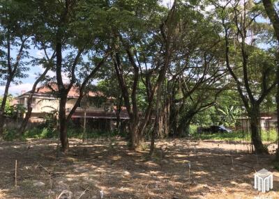 Property ID202LS Land for sale in Mae Rim 1-0-3 Rai near Nakornping Hospital.