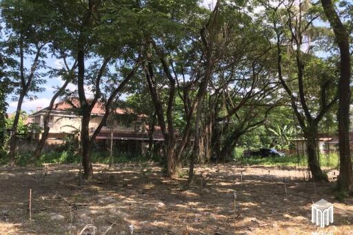 Property ID202LS Land for sale in Mae Rim 1-0-3 Rai near Nakornping Hospital.