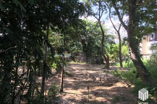 Property ID202LS Land for sale in Mae Rim 1-0-3 Rai near Nakornping Hospital.