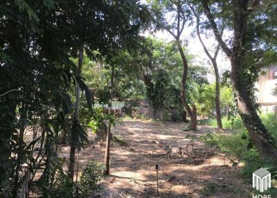 Property ID202LS Land for sale in Mae Rim 1-0-3 Rai near Nakornping Hospital.