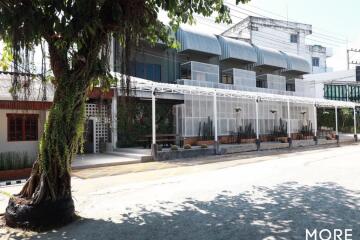 Hotel - Mae Rim with license, 2 rai 3 ngan 39 sq wa. (ID:038BS)