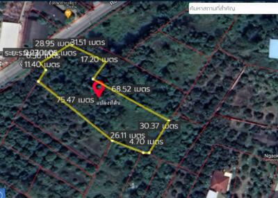 Property id138ls Land for sale in Saraphi 2-1-43Rai near Wachiralai school