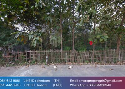 Property id 066LS Land for sale in Chiang Mai 3-3-15 Rai near Nong Bua Phra Chao Luang, Doi Saket, Chiang Mai.