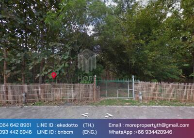 Property id 066LS Land for sale in Chiang Mai 3-3-15 Rai near Nong Bua Phra Chao Luang, Doi Saket, Chiang Mai.