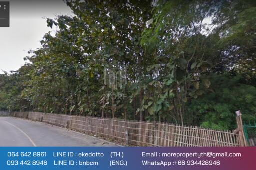 Property id 066LS Land for sale in Chiang Mai 3-3-15 Rai near Nong Bua Phra Chao Luang, Doi Saket, Chiang Mai.