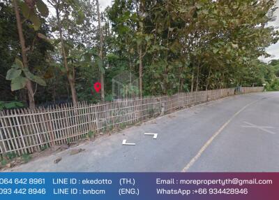 Property id 066LS Land for sale in Chiang Mai 3-3-15 Rai near Nong Bua Phra Chao Luang, Doi Saket, Chiang Mai.