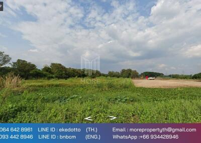 More-071LS Land for sale in Chiang Mai 6 rai 1 ngan 79 sq m. near Chofa Sinseng School, Nong Phueng Subdistrict. Saraphi District, Chiang Mai Province