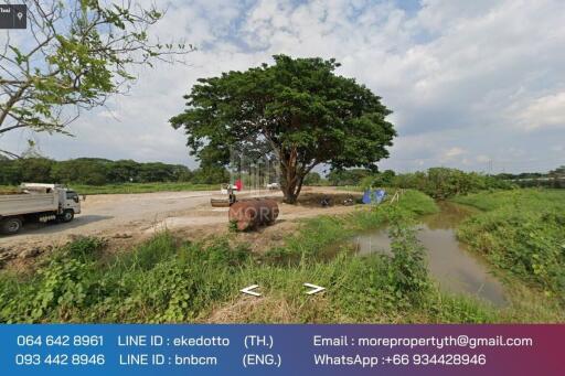 More-071LS Land for sale in Chiang Mai 6 rai 1 ngan 79 sq m. near Chofa Sinseng School, Nong Phueng Subdistrict. Saraphi District, Chiang Mai Province