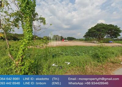 More-071LS Land for sale in Chiang Mai 6 rai 1 ngan 79 sq m. near Chofa Sinseng School, Nong Phueng Subdistrict. Saraphi District, Chiang Mai Province