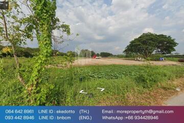 More-071LS Land for sale in Chiang Mai 6 rai 1 ngan 79 sq m. near Chofa Sinseng School, Nong Phueng Subdistrict. Saraphi District, Chiang Mai Province