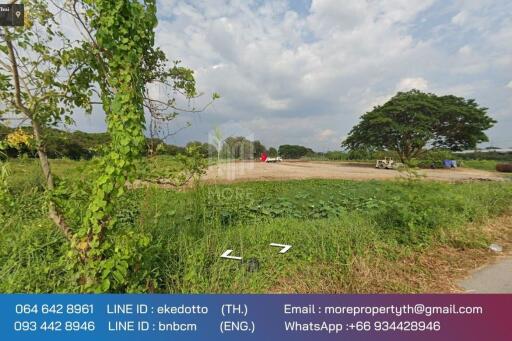 More-071LS Land for sale in Chiang Mai 6 rai 1 ngan 79 sq m. near Chofa Sinseng School, Nong Phueng Subdistrict. Saraphi District, Chiang Mai Province