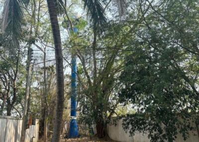 Property ID167LS Land for sale in Saraphee 2-3-35 Rai near BigC Don Chan