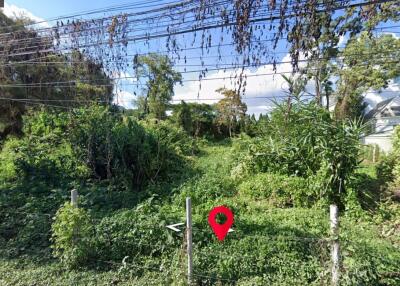 Property id147ls ขายที่ดินหางดง 1-2-9 ไร่ ใกล้ Cypress Lanes