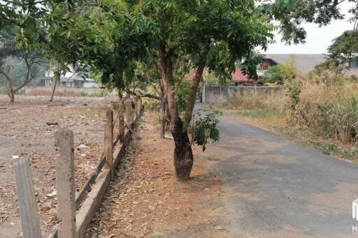 Property ID165LS Land for sale in Pa Dat, 2-1-16 Rai.,near Tesco Lotus Chiang Mai Hang Dong