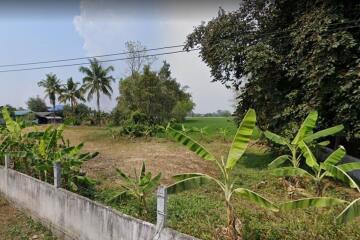 Property id119LSLand for sale in Doi Saket 14-0-38 Rai near Ornsirin6