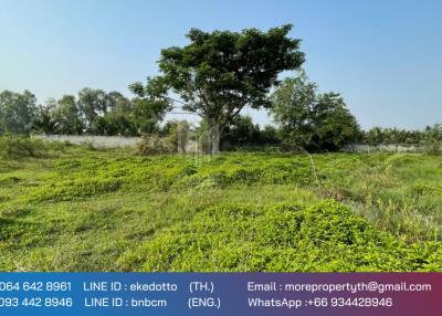 Property id 118ls Land for sale in San Na Meng, 2,420sq.m, San Sai District, Chiang Mai.