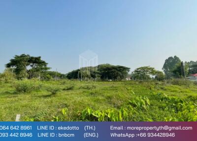 Property id 118ls Land for sale in San Na Meng, 2,420sq.m, San Sai District, Chiang Mai.