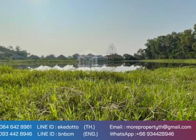 Property id 118ls Land for sale in San Na Meng, 2,420sq.m, San Sai District, Chiang Mai.