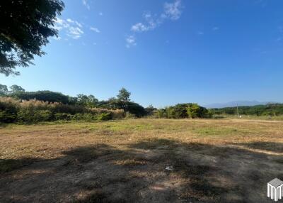 Property id208ls Land for sale in San Sai 3-1-72 sq.wa near Meajo University