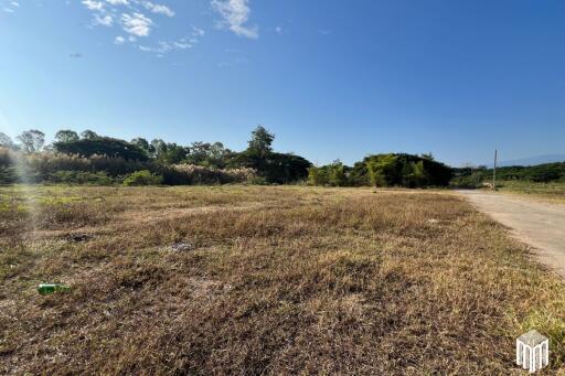 Property id208ls Land for sale in San Sai 3-1-72 sq.wa near Meajo University