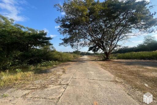 Property id208ls Land for sale in San Sai 3-1-72 sq.wa near Meajo University