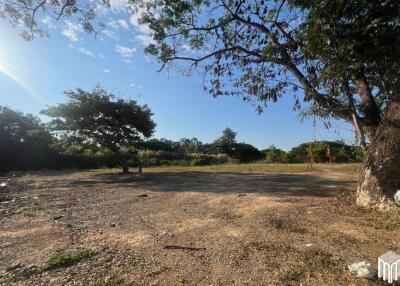 Property id208ls Land for sale in San Sai 3-1-72 sq.wa near Meajo University