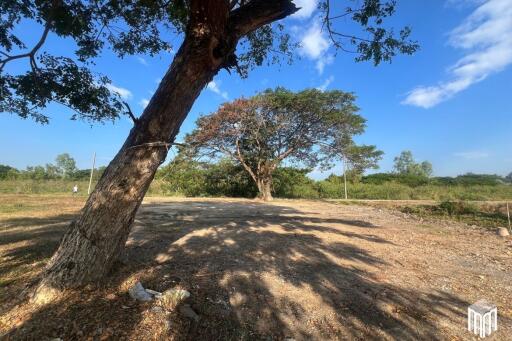 Property id208ls Land for sale in San Sai 3-1-72 sq.wa near Meajo University