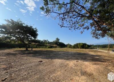 Property id208ls Land for sale in San Sai 3-1-72 sq.wa near Meajo University