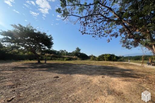 Property id208ls Land for sale in San Sai 3-1-72 sq.wa near Meajo University