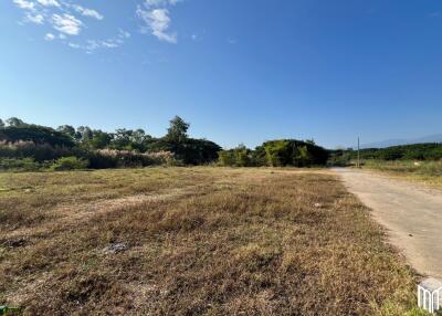 Property id208ls Land for sale in San Sai 3-1-72 sq.wa near Meajo University