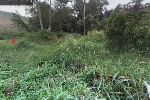 Property id 184LS Land for sale in Mae Hia 1-0-58 Rai near Doi Khum Temple