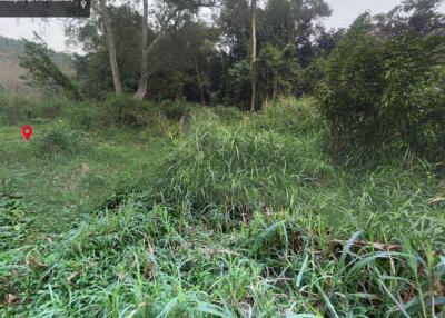 Property id 184LS Land for sale in Mae Hia 1-0-58 Rai near Doi Khum Temple