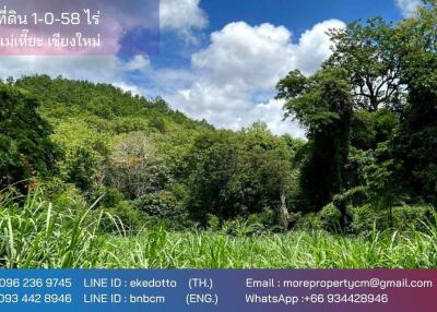 Property id 184LS Land for sale in Mae Hia 1-0-58 Rai near Doi Khum Temple