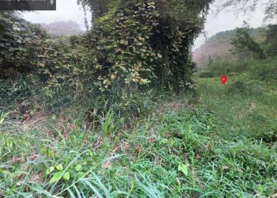 Property id 184LS Land for sale in Mae Hia 1-0-58 Rai near Doi Khum Temple