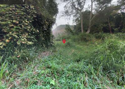 Property id 184LS Land for sale in Mae Hia 1-0-58 Rai near Doi Khum Temple