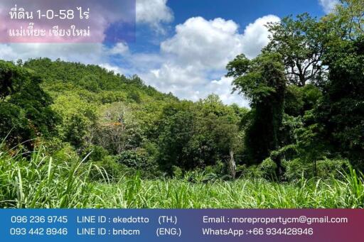 Property id 184LS Land for sale in Mae Hia 1-0-58 Rai near Doi Khum Temple