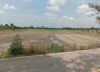 More-001LS Beautiful plot of land,size 7 rai 1 ngan 90 sq wa, San Kamphaeng Subdistrict.