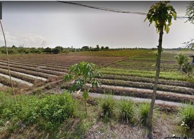 More-001LS Beautiful plot of land,size 7 rai 1 ngan 90 sq wa, San Kamphaeng Subdistrict.