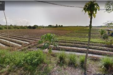 More-001LS Beautiful plot of land,size 7 rai 1 ngan 90 sq wa, San Kamphaeng Subdistrict.