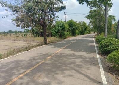 More-001LS Beautiful plot of land,size 7 rai 1 ngan 90 sq wa, San Kamphaeng Subdistrict.