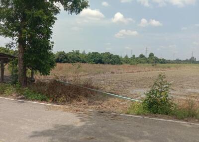 More-001LS Beautiful plot of land,size 7 rai 1 ngan 90 sq wa, San Kamphaeng Subdistrict.