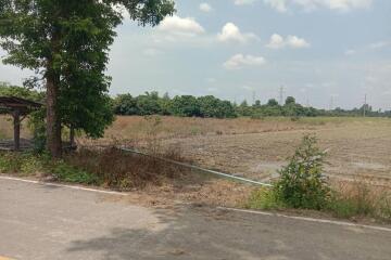 More-001LS Beautiful plot of land,size 7 rai 1 ngan 90 sq wa, San Kamphaeng Subdistrict.