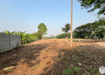 Property id 224LS Land for sale in Saraphi 1Rai 3Ngan 96sq.wa. near Global House Wiang Kum Kam