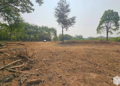 Property id 224LS Land for sale in Saraphi 1Rai 3Ngan 96sq.wa. near Global House Wiang Kum Kam