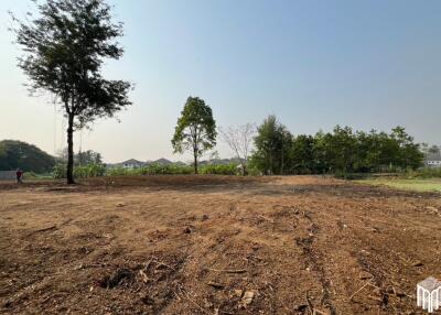 Property id 224LS Land for sale in Saraphi 1Rai 3Ngan 96sq.wa. near Global House Wiang Kum Kam