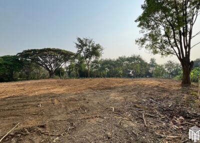 Property id 224LS Land for sale in Saraphi 1Rai 3Ngan 96sq.wa. near Global House Wiang Kum Kam